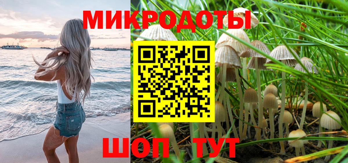 Псилоцибиновые грибы Psilocybe  Галлюциногенные грибы MAGIC MUSHROOMS  даркнет сайт  Чебаркуль  Вход с VPN 