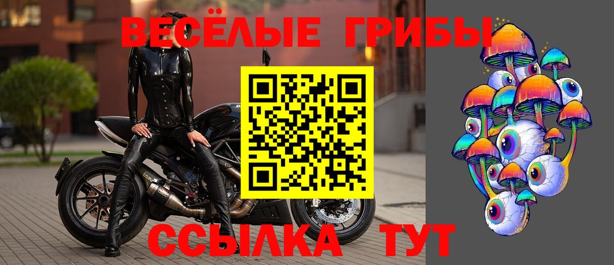 Псилоцибиновые грибы Psilocybe Чебаркуль
